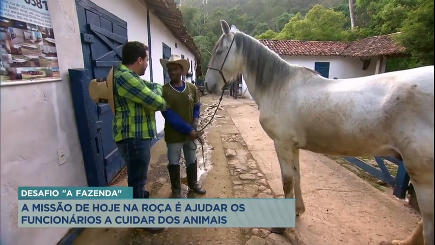 Vídeo: Repórter da Record TV Minas é desafiado a cuidar dos animais de uma fazenda no interior de MG