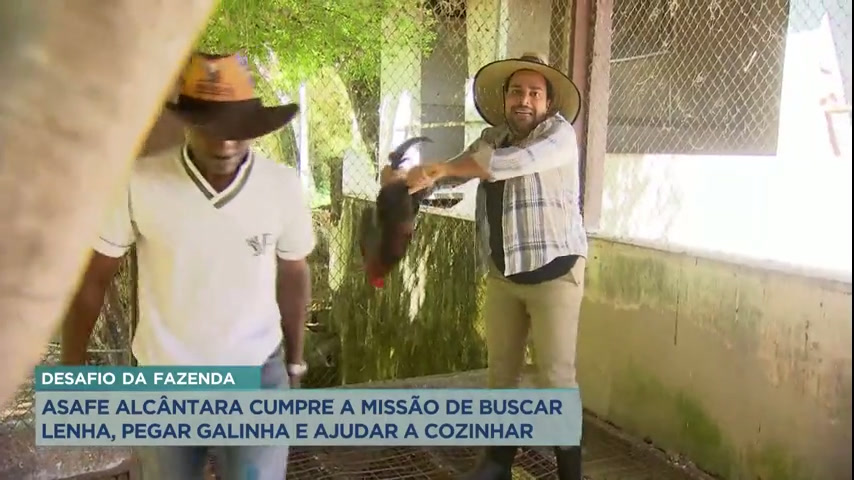 Vídeo: Repórter da Record TV Minas corre atrás de galinha para preparar prato mineiro em fazenda