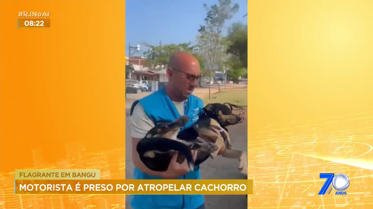 Vídeo: Motorista é preso por passar com carro em cima de cachorro duas vezes no Rio; vídeo flagrou crime