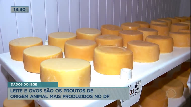 Vídeo: Leite e ovos são os alimentos de origem animal mais produzidos no DF, aponta IBGE