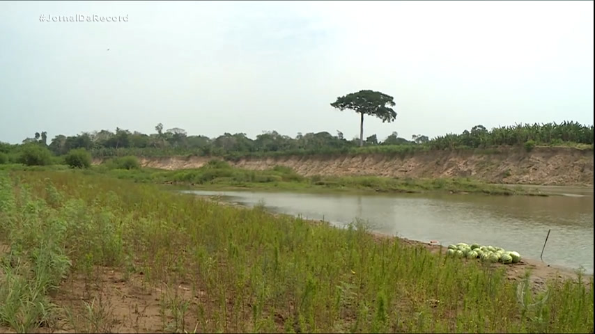 Seca Na Amazônia é A Pior Desde A Década De 80; Saiba Quais São As ...