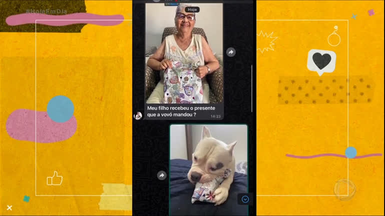 Vídeo: Relação de vovó com cachorro diverte as redes sociais