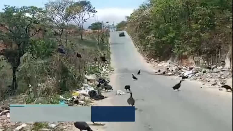 Vídeo: Lixão clandestino causa transtornos aos moradores de Santa Luzia (MG)