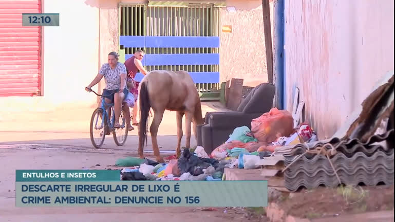 Vídeo: Descarte irregular de lixo prejudica moradores da Cidade Estrutural, no DF