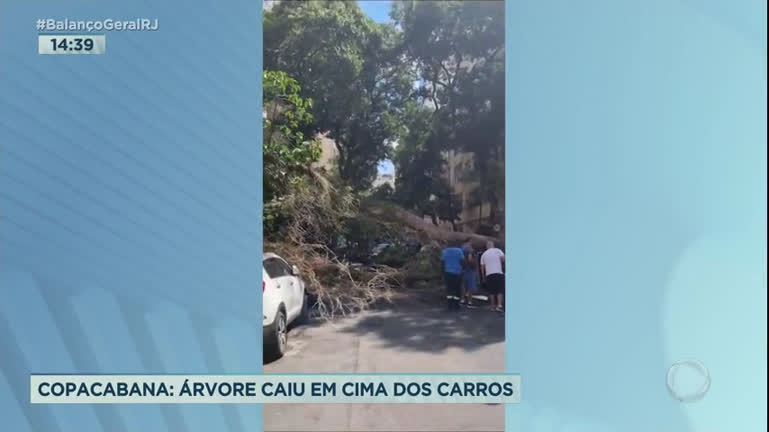 Vídeo: Árvore centenária cai em cima de carros após ventania no Rio