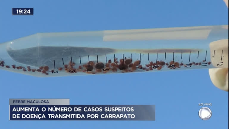 Vídeo: Aumenta número de casos suspeitos de doença transmitida por carrapato