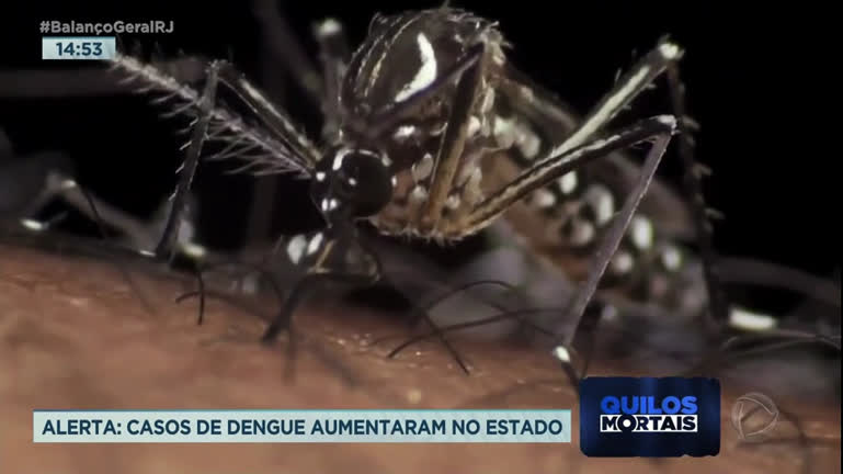 Vídeo: Casos de Dengue aumentam no Rio de Janeiro; quatro pessoas morreram em 2023