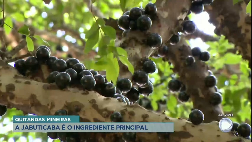 Vídeo: Quitandas e Quitandeiras: conheça a jabuticaba usada como ingrediente principal nas receitas feitas em Sabará (MG)