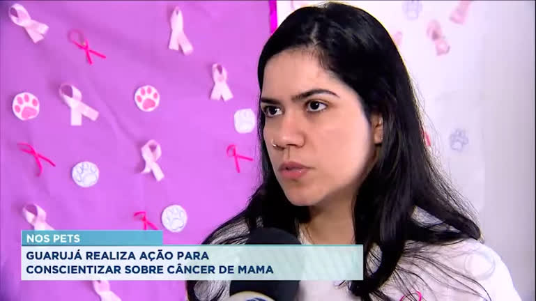Vídeo: Guarujá realiza ação contra câncer de Mama em Pets