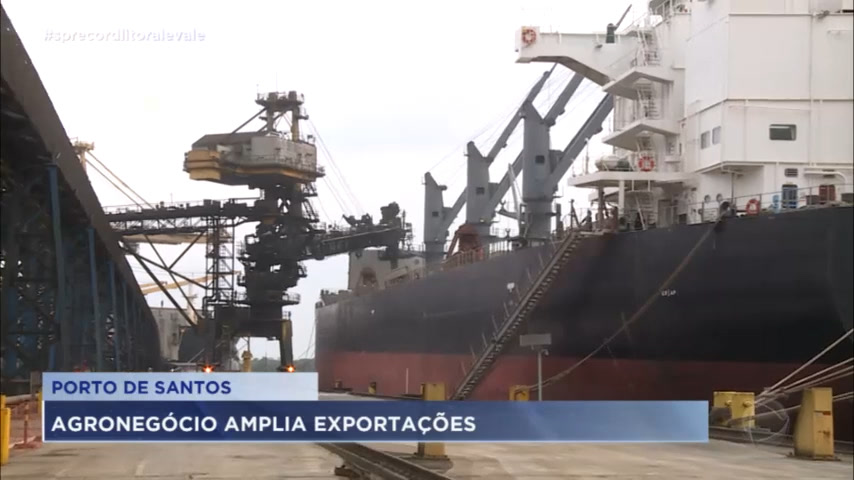 Vídeo: Exportação de produtos relacionados ao Agro cresce no Porto