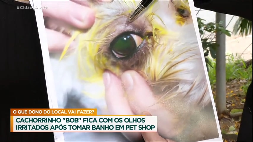 Vídeo: Patrulha do Consumidor : casal denuncia pet shop por usar produtos que causam alergias nos animais