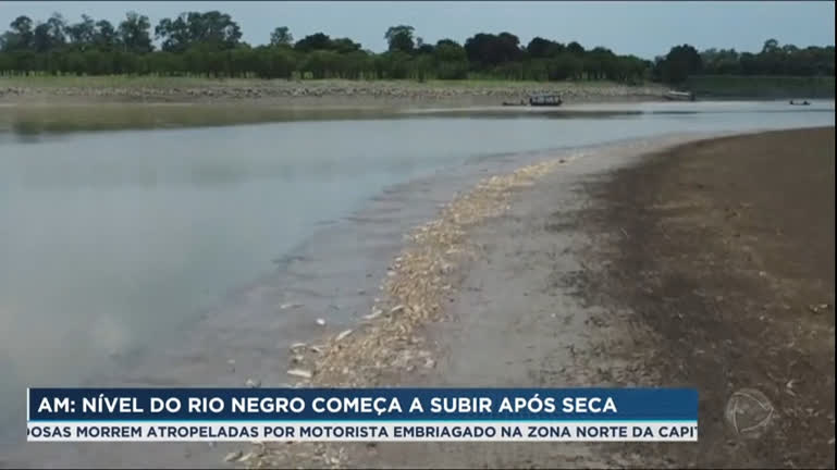 Vídeo: Nível do Rio Negro volta a subir depois da pior seca da história