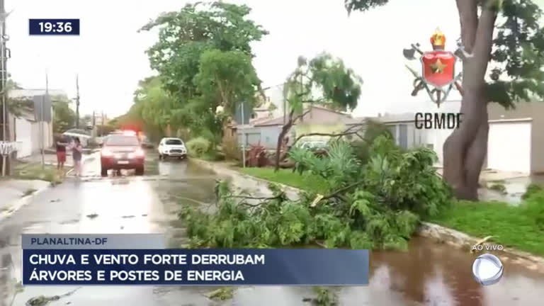 Vídeo: Chuva e vento forte derrubam árvores e postes de energia em Planaltina