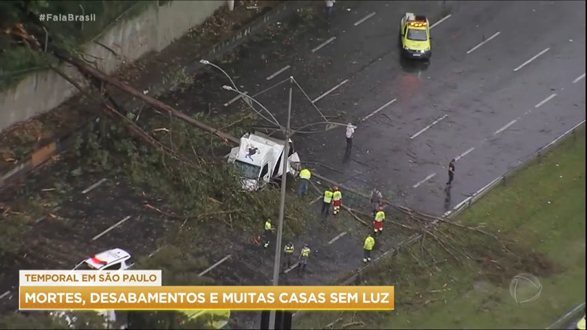 Vídeo: Temporal causa queda de árvores, deixa casas sem luz e provoca seis mortes em SP