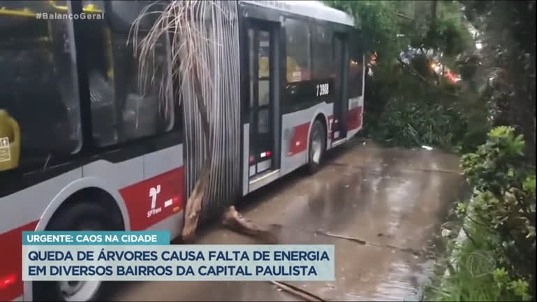 Vídeo: Queda de árvores causa falta de energia em diversos bairros da capital paulista