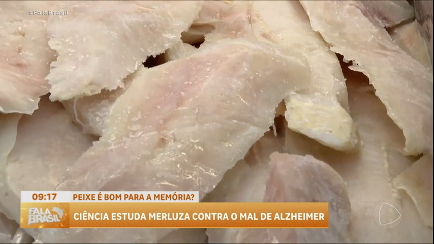 Vídeo: Pesquisadores de SP investigam ação da merluza contra o mal de Alzheimer