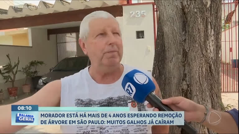 Vídeo: Morador de São Paulo espera há quatro anos por remoção de árvore condenada