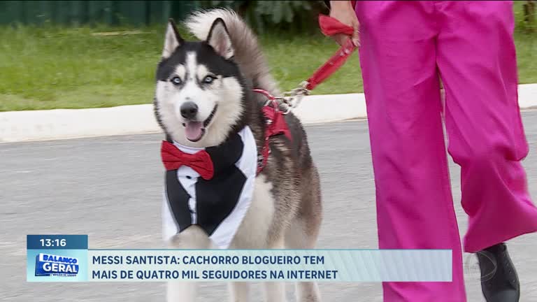 Vídeo: Cachorro santista faz sucesso na internet