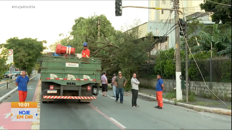 Vídeo: Temporal derruba árvores e deixa milhares de moradores sem energia em SP