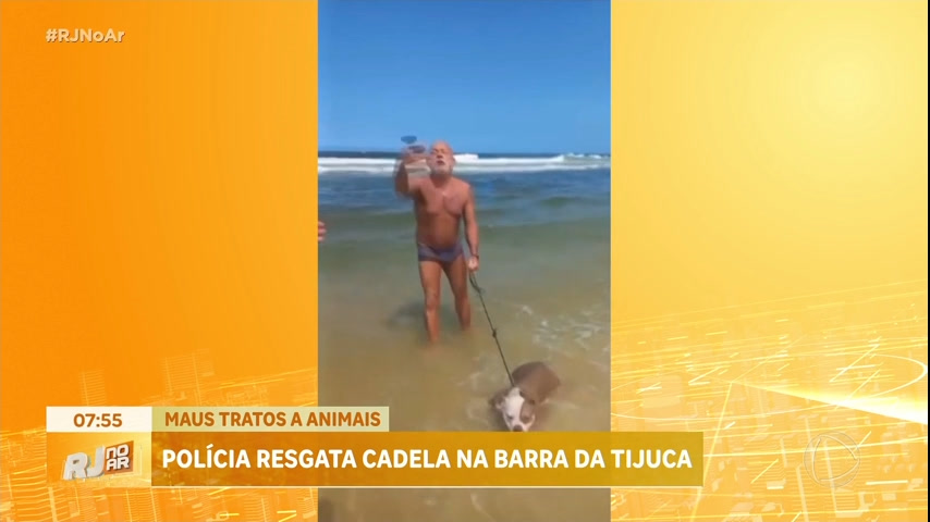 Vídeo: Cadela que sofria maus-tratos é resgatada na Barra da Tijuca