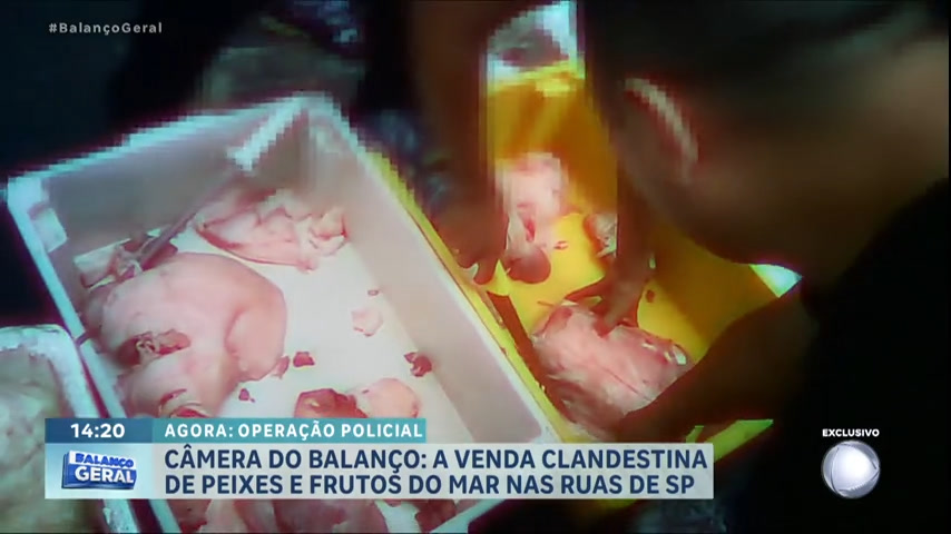 Vídeo: Câmera do Balanço flagra venda de alimentos contaminados em feira clandestina