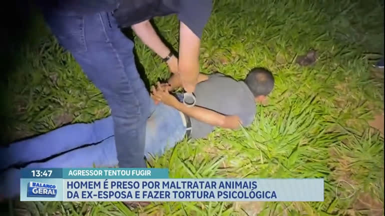 Vídeo: Homem é preso por maltratar animais da ex-companheiro