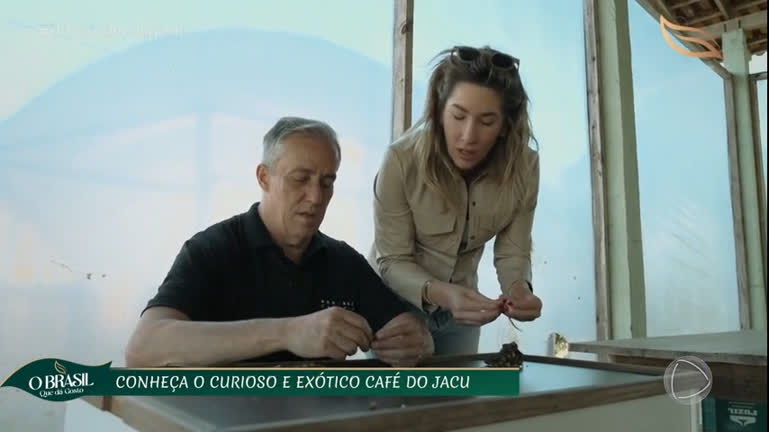 Vídeo: Entenda como é produzido o exótico café do jacu, feito a partir das fezes de um pássaro