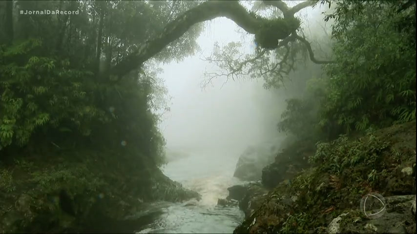 Vídeo: A Serra : 'Oásis reservado' em SP esconde cachoeira de mais de 100 metros de altura