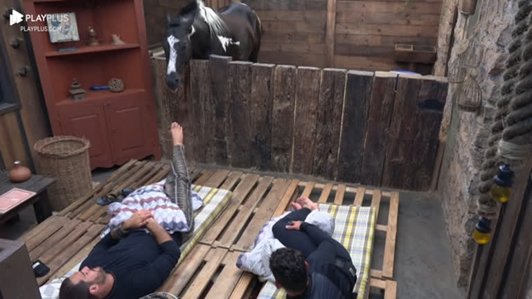 Vídeo: Shay provoca Colorado e Radamés fala para o cavalo pegar o pé do empresário | A Fazenda 15