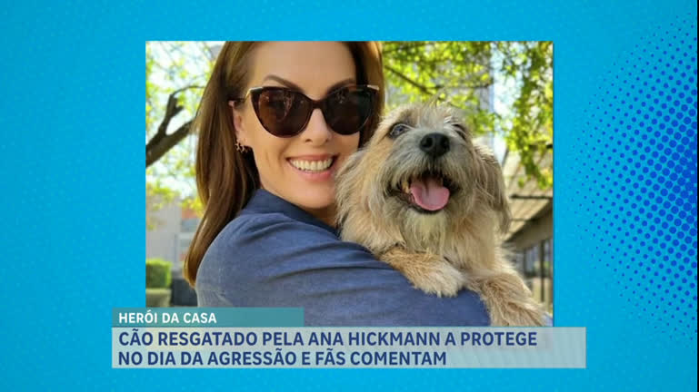 Vídeo: A Hora da Venenosa: cachorro da Ana Hickmann ganhou destaque após a entrevista da apresentadora