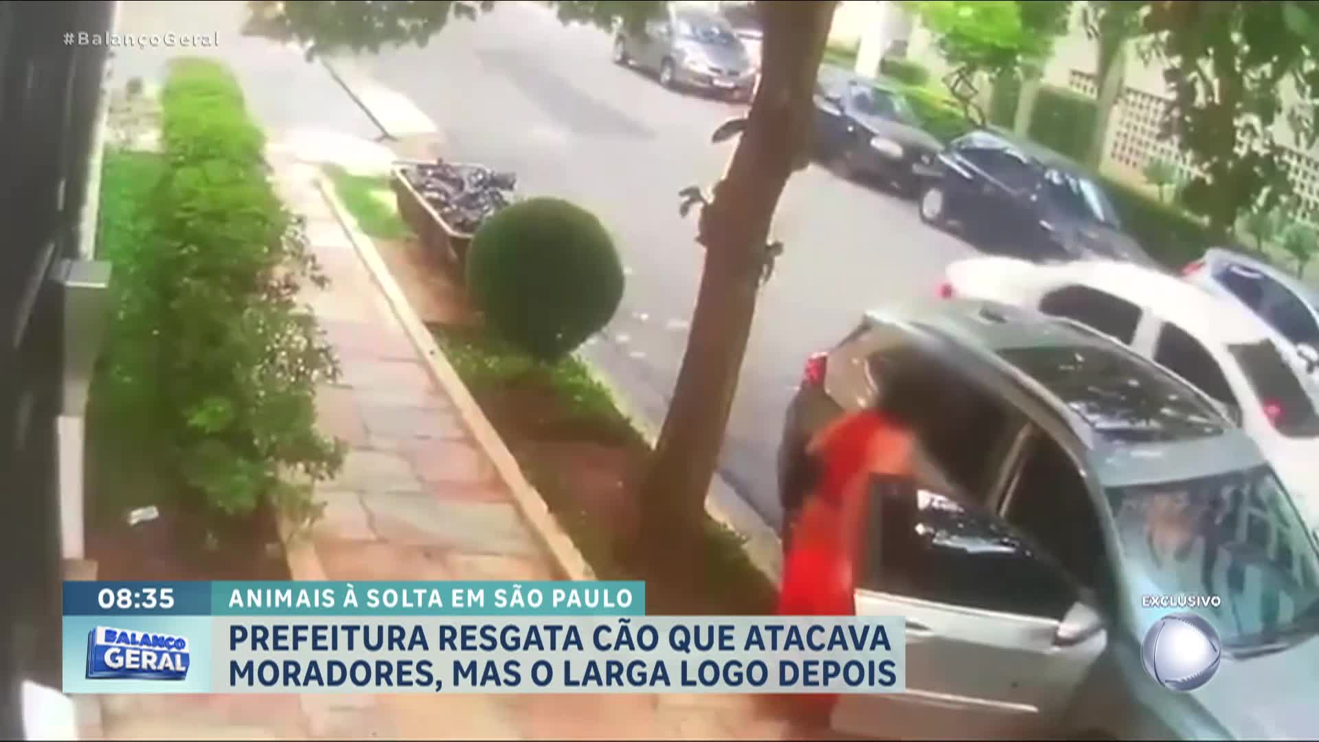 Vídeo: Motorista é assaltada e levada por ladrões em SP