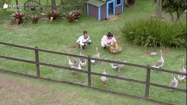 Vídeo: Durante trato dos gansos, Nadja diz: "Se os animais brigam, imagine nós?" | A Fazenda 15