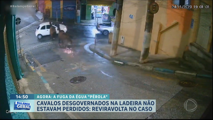 Vídeo: Cavalos escorregam em ladeira e batem em carro no ABC Paulista