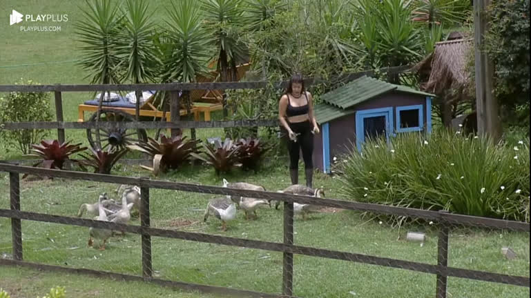 Vídeo: Jaque tenta alimentar gansos, fica com medo dos animais e brinca: "Eu subo na cerca" | A Fazenda 15