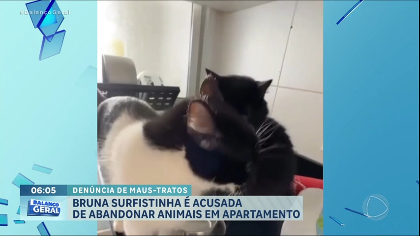 Vídeo: Bruna Surfistinha é acusada de abandonar animais em apartamento de SP