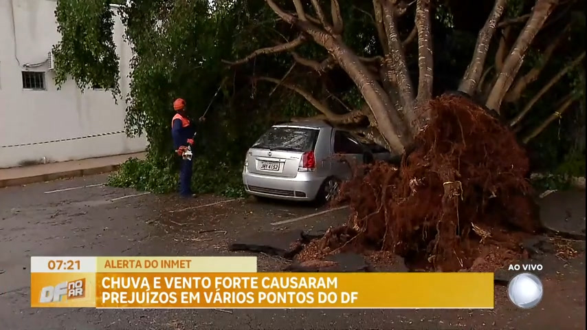 Vídeo: Com chuva intensa, árvore cai sobre carro no estacionamento do Hospital Materno de Brasília