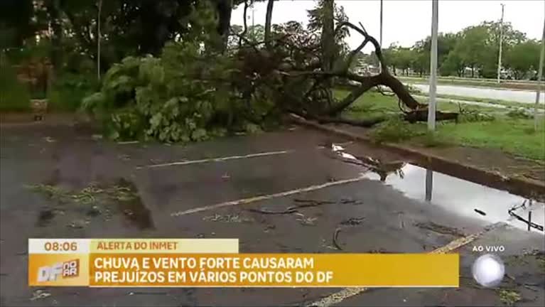 Vídeo: Vento forte dessa quinta (30) derruba várias árvores na Asa Sul (DF)