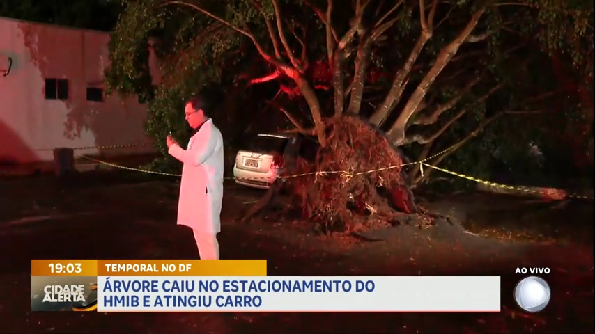 Vídeo: Árvore cai no estacionamento do HMIB e atinge carro