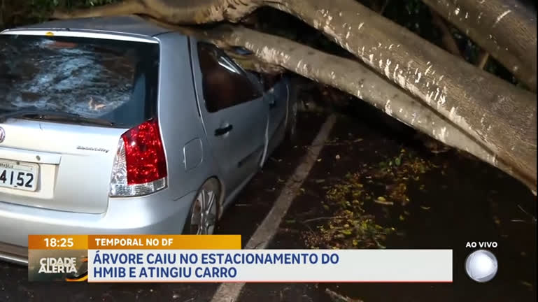 Vídeo: Após chuva intensa no DF, árvore cai no estacionamento do HMIB e atinge carro
