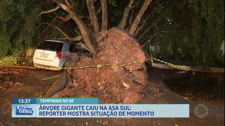 Vídeo: Após chuvas, árvore cai em estacionamento de hospital na Asa Sul