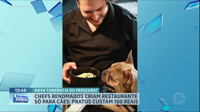 Vídeo: Chefs renomados criam restaurante para cães com pratos de até R$ 100