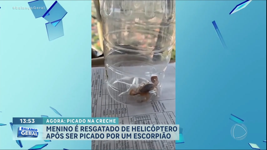 Vídeo: Criança de 8 anos é levada às pressas para hospital após ser picada por escorpião