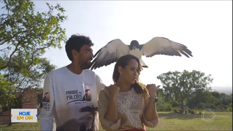 Vídeo: Personagens do Brasil : Parque abriga aves de rapina no interior de Sergipe