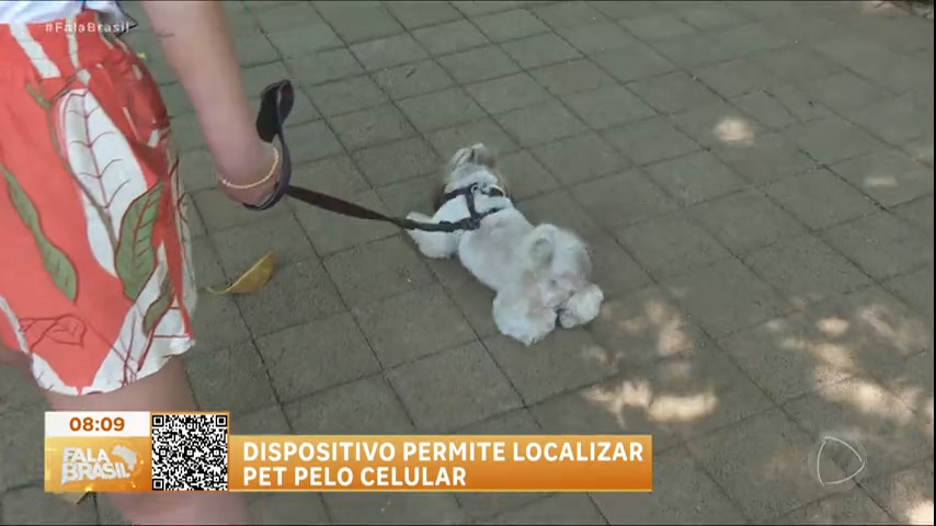Vídeo: SOS Pet : Dispositivo permite localizar animal pelo celular