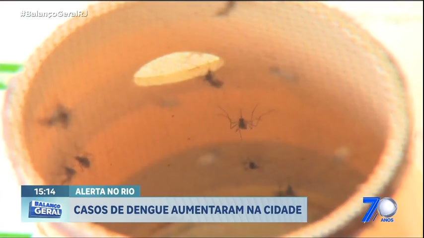 Vídeo: Casos de dengue aumentam no Rio