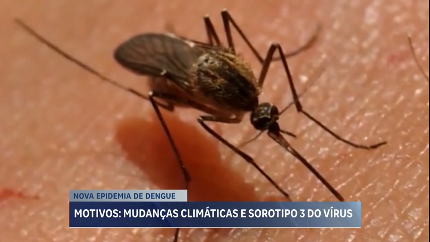 Vídeo: Minas Gerais tem alerta para epidemia de dengue em 2024 devido a calor e chuva