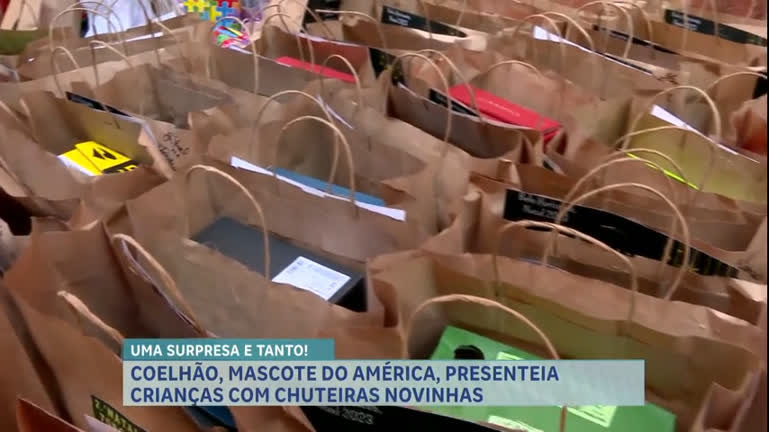 Cachorro da raça fila ataca criança e aterroriza vizinhança no sul de Minas  - Notícias - R7 Minas Gerais