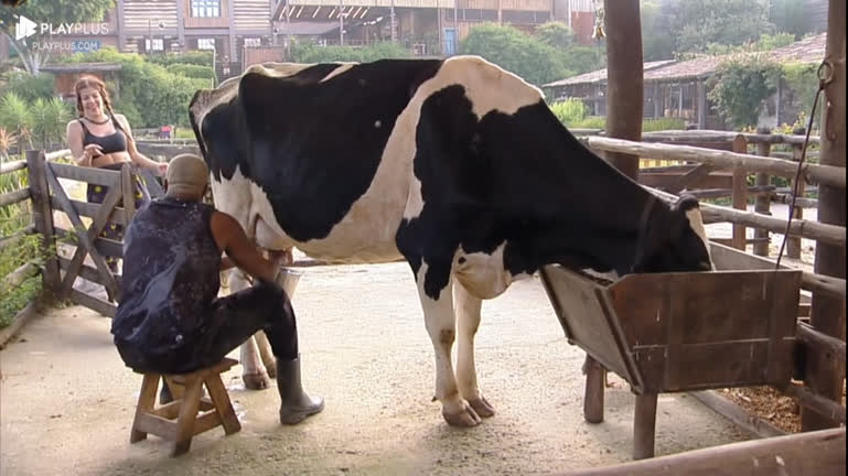 Sapo escondido na baia causa gritaria, alvoroço e muitas risadas - A  Fazenda 12 - A Fazenda 12 - R7 24 horas