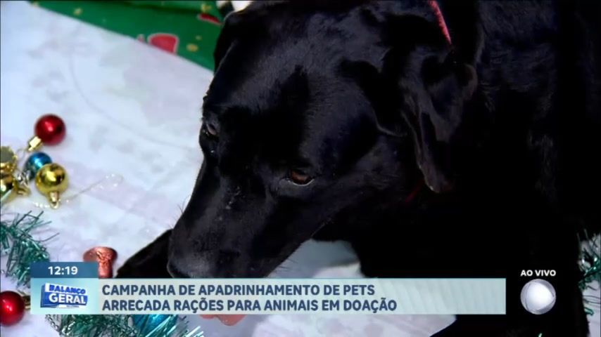 Vídeo: São Vicente faz campanha para Pets