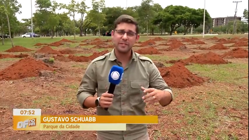 Vídeo: Parque da Cidade recebe mais de 3 mil mudas de árvores no Bosque dos Pinheiros